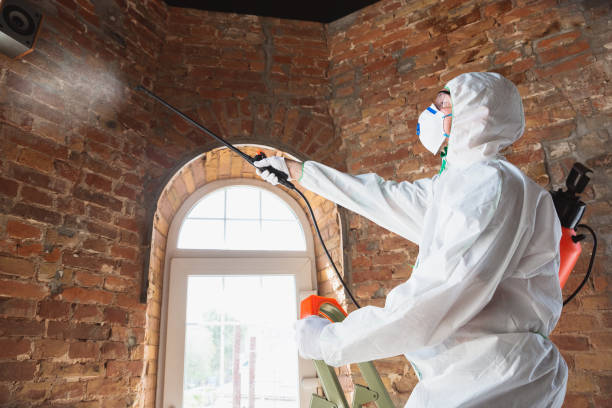 Best Commercial Mold Inspection  in Bergenfield, NJ